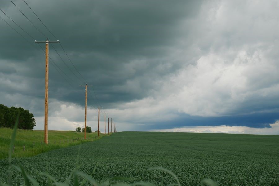Power Poles In A Field Promo Power Poles In A Field Promo